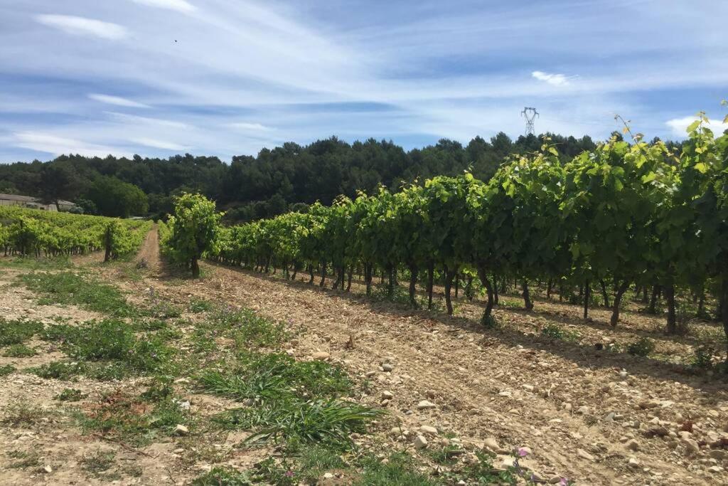 Cabanon De Charme En Plein Coeur Des Vignes Villa Pertuis Exterior foto